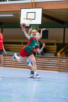Bild 110 - Frauen HSG Krem/Muensterdorf - HG OKT 3 : Ergebnis: 33:21